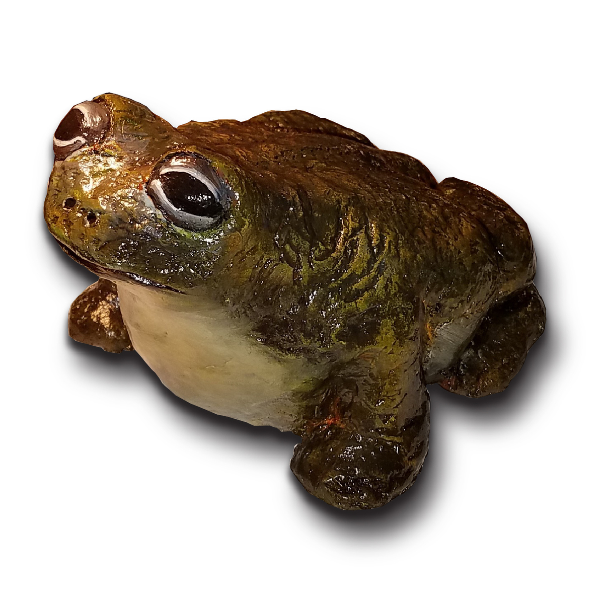 Bull Frog